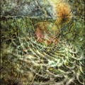 untitled_and